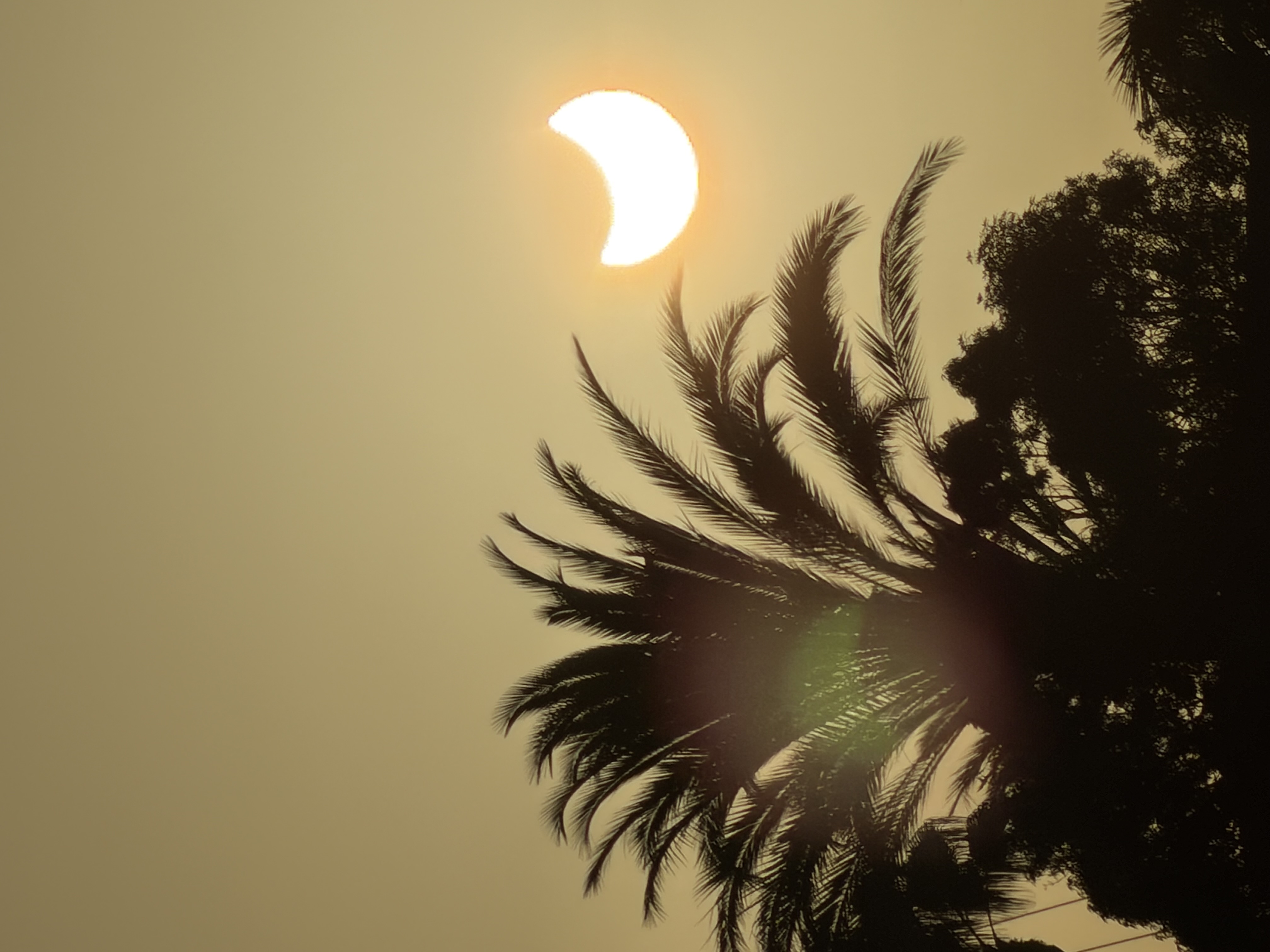 Jeremy Ellis - Holiday Eclipse 