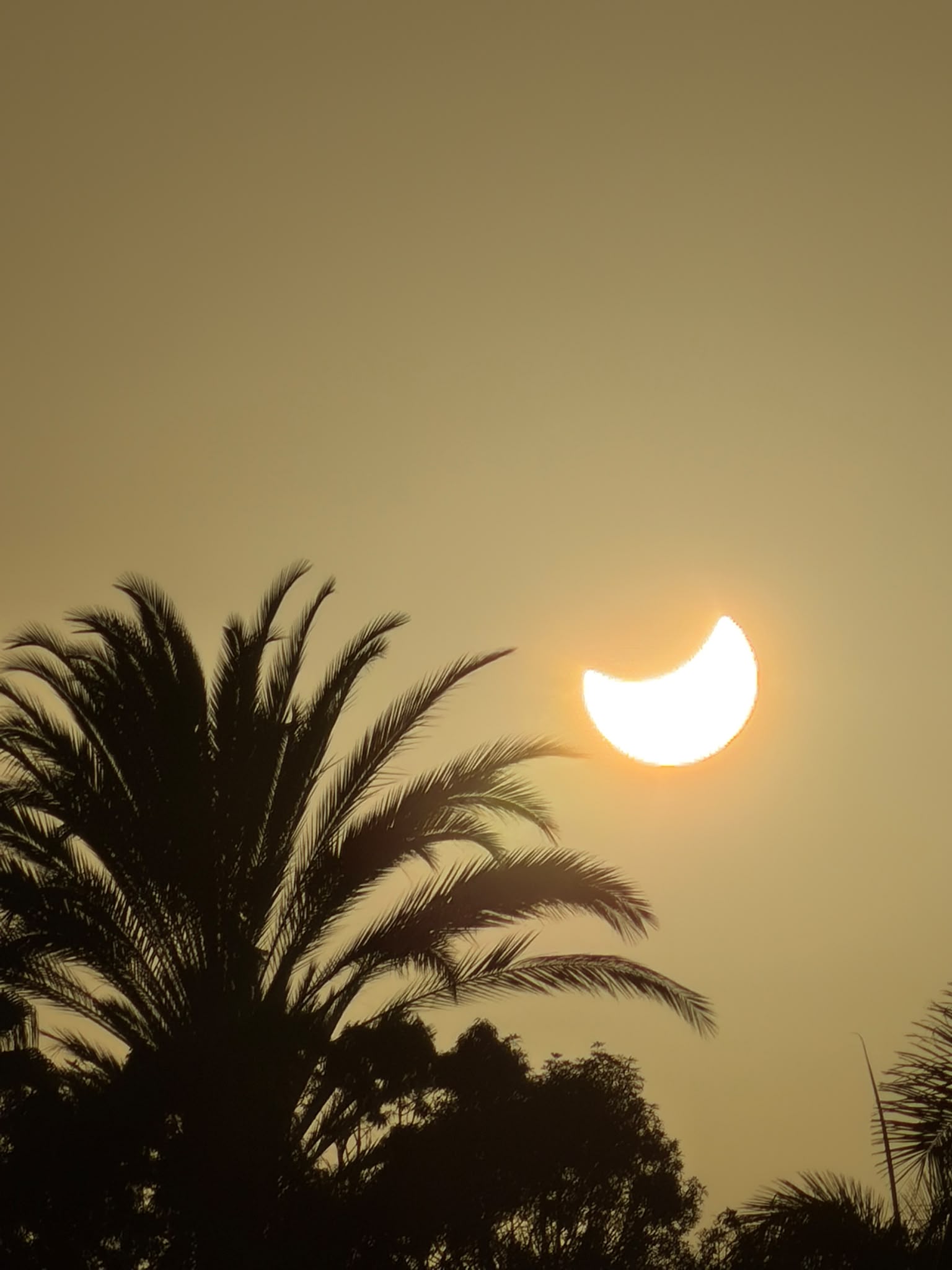 Jeremy Ellis - Holiday Eclipse 